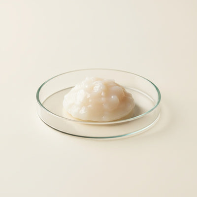 Ceramides