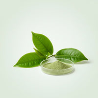 Green Tea Extract
